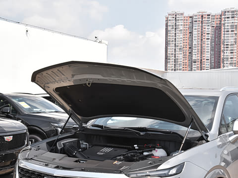 2025�� 2.0T �󶼻���