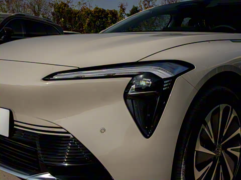 2025�� ������