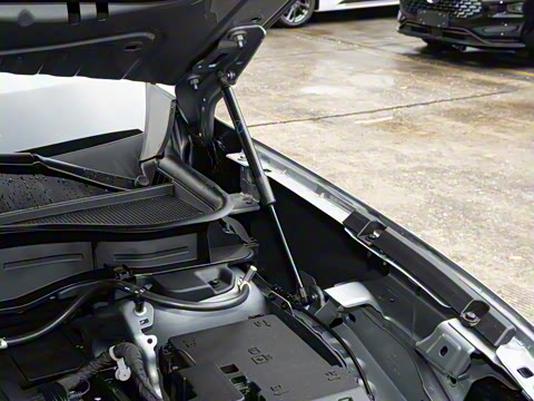 2026�� ���L 2.0T EcoBoost ��������������