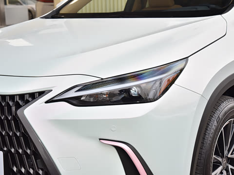 2026�� 350h ��ɫ�޶���