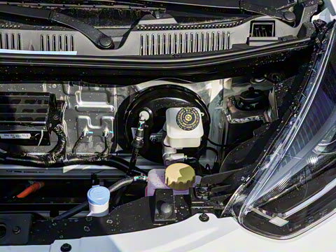 2026�� 271km �氮��