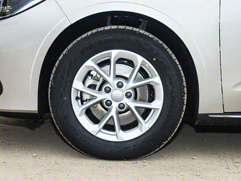 2026�� 60km̽����