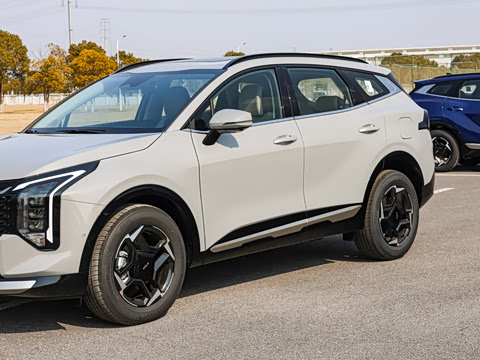 2026�� ����������