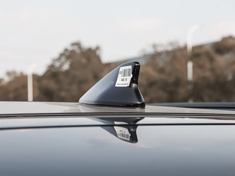 2026�� ���������