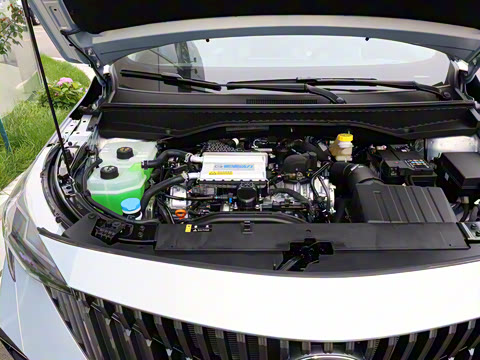 2026�� Ӱ�� 270T ������