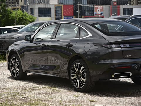 2026�� 1.5L �������� ������