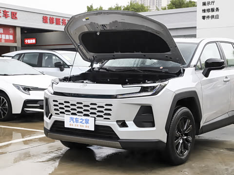 2026�� 2.0L ���ܵ��˫�� AIR