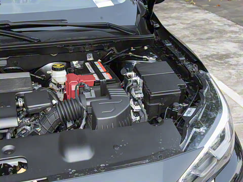 2026�� 1.6L CVTʡ�İ�