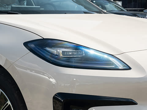 2026�� 520�Ǻ���