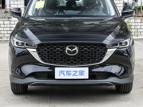 2025�� 2.0L �Զ���������Pro
