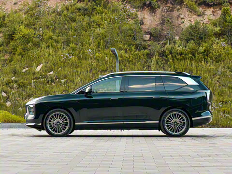 2025�� �Ŀ� 350 Max���������״��