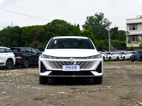 2026�� 1.5L �������� ������