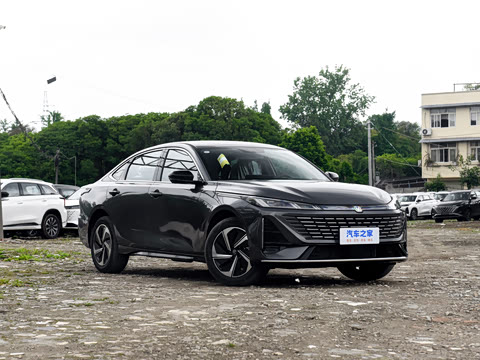 2026�� 1.5L �������� ������