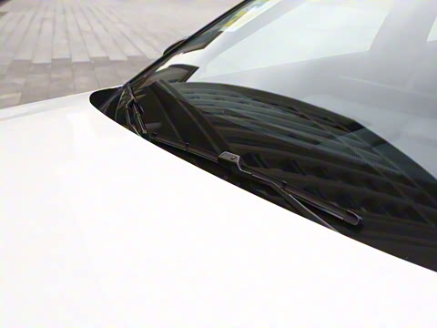 2026�� 126������ Max