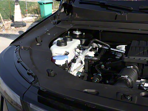 2026�� 121km ������ 5��