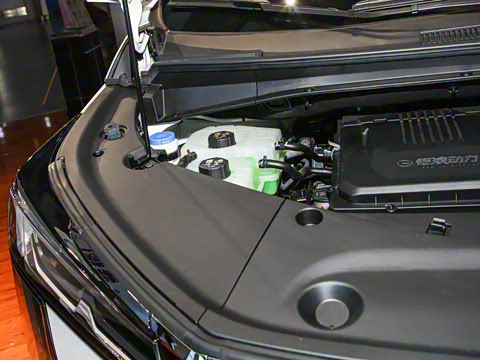 2025�� Ǭ��ϵ�� Pro ������