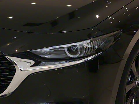 2025�� 2.0L �Զ������