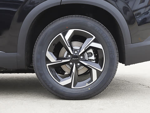 2026�� 530Խ����