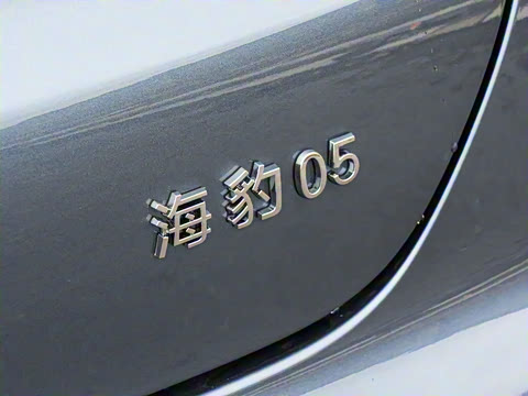 2026�� DM-i 128KM������