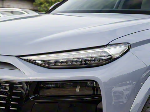 2026�� ����������