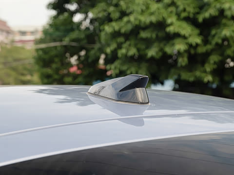 2026�� ����������