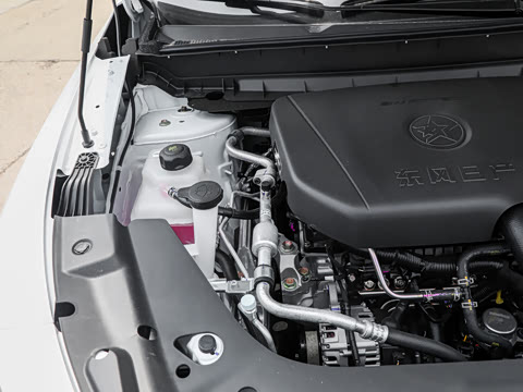 2026�� 260T ������ Pro