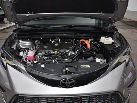 2026�� 2.5L�춯 ���PLUS������