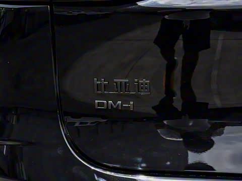 2025�� �Ǽݰ� DM-i 175KM ������