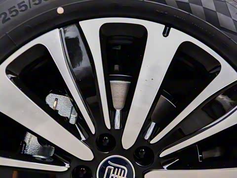 2025�� �Ǽݰ� DM-i 175KM ������