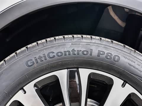 2025�� �Ǽݰ� DM-i 175KM ������