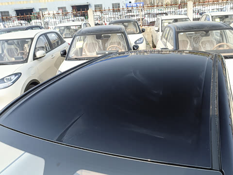 2026�� ����� 205km ���׿�