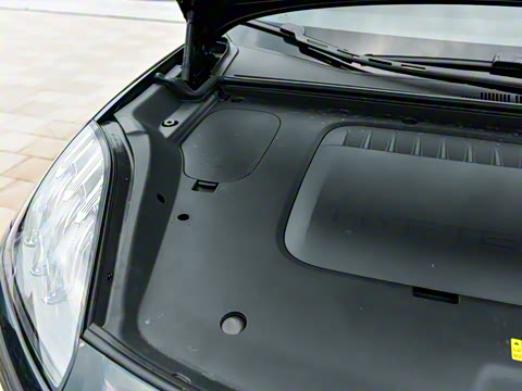 2025�� �Ŀ� 350 Max���������״��