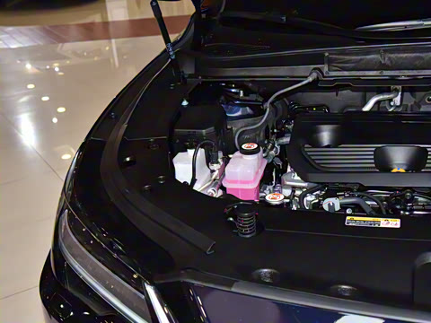 2026�� 350h ����������