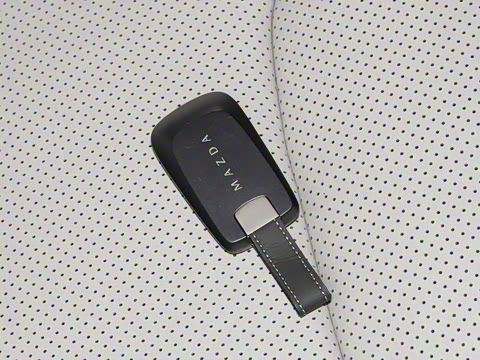 2025�� ����600 Pro