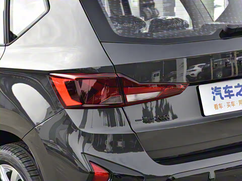 2026�� 280TSI �Զ��ȷ��