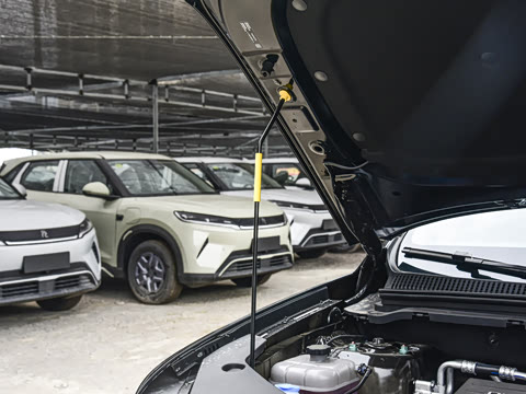 2026�� DM-i 220KM��Խ��