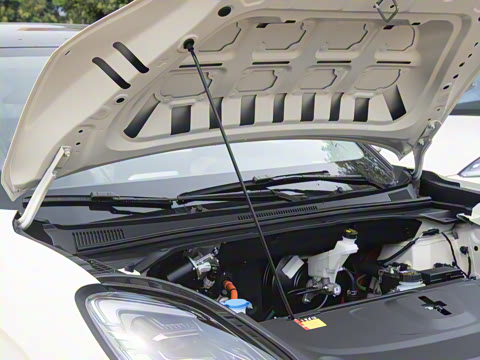 2025�� 325km ������