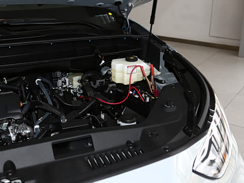 2026�� 2.5L���ܵ��˫��������Ӣ�� 5��