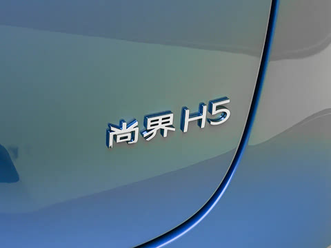 2025�� ���� Max