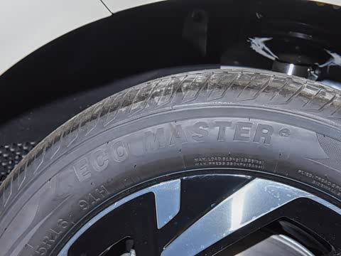 2026�� Pro 300TSI �������