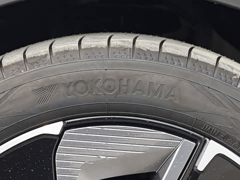 2026�� ������ JOY