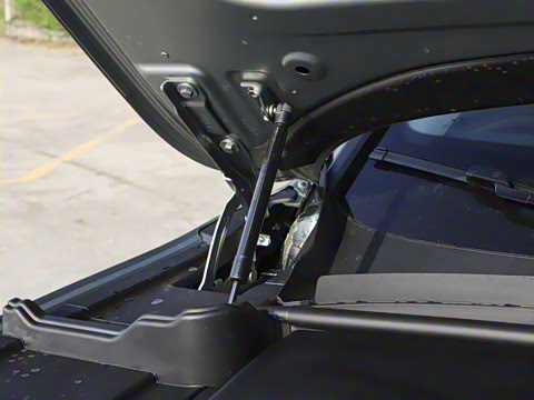 2025�� FREE+ ����Ǭ����