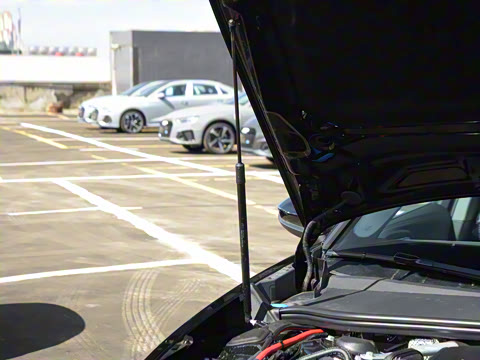 2026�� 2.0T �˶��� Plus