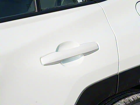 2026�� ˫�� 2.5L ����������