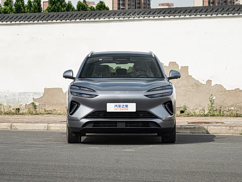 2026�� DM-i 310�콢��