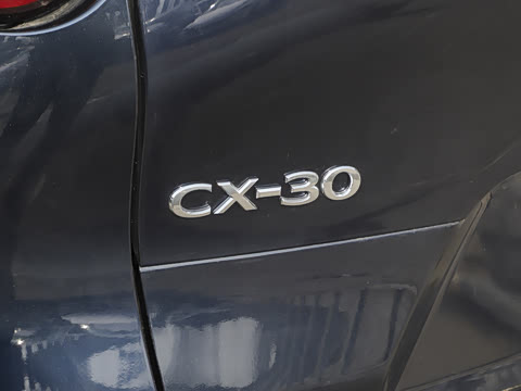 2025�� 2.0L �Զ�������