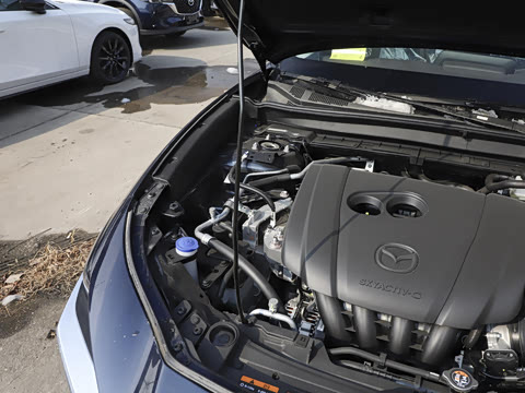 2025�� 2.0L �Զ�������