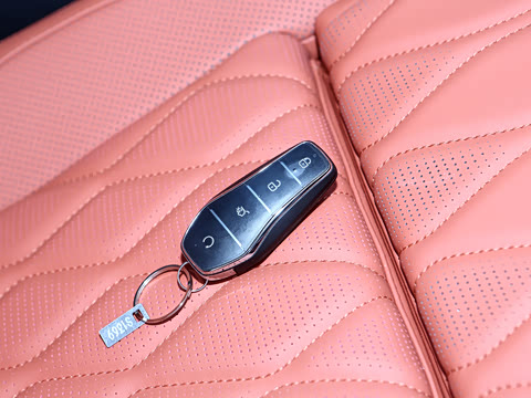 2025�� �Ǽݰ� DM-i 175KM �����״��콢��