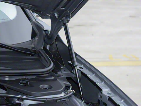 2026  2.0T  EcoBoost  