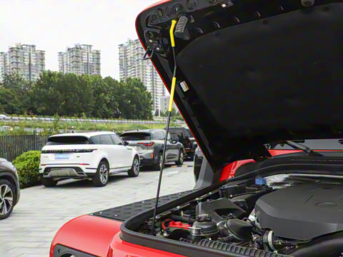 2025�� ��ħ������